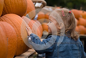 Halloween farmer's market