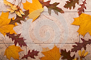 Halloween festive autumn background. Autumn decor from pumpkins, berries, maple leaves and chestnuts on old rustic stone tiles