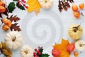 Halloween festive autumn background. Autumn decor from pumpkins, berries, maple leaves and chestnuts on old rustic white wooden