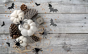 Halloween Flat Lay with White and Brown-Gray Pumpkins, Cones, Bats, Spiders.