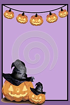 Halloween frame purplecolor and Jack O Lantern