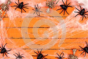 Halloween frame with skeletons and spider webs on orange wood