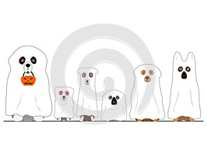 Halloween ghosts dogs in a row