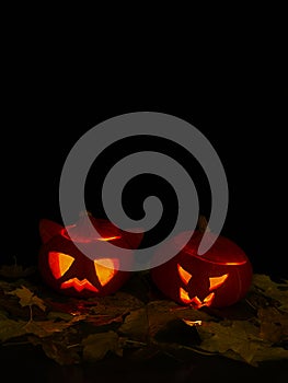 Halloween glowing pumpkin heads in the autumn leaves on black background