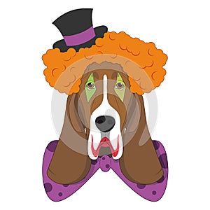 Halloween greeting card. Basset Hound dog dressed as a scary clown