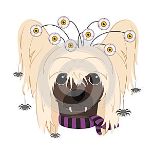 Halloween greeting card. Chinese Crested Dog dressed with terrifying eyes, several spiders falling from the hair and a scarf