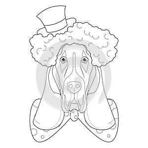 Halloween greeting card for coloring. Basset Hound dog dressed as a scary clown