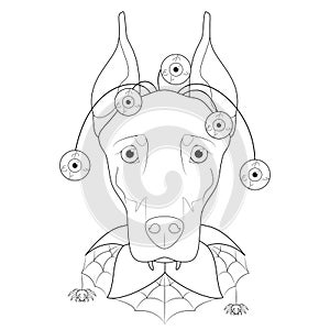 Halloween greeting card for coloring. Doberman dog dressed with terrifying eyes and a spider web collar photo