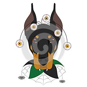 Halloween greeting card. Doberman dog dressed with terrifying eyes and a spider web collar photo
