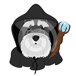 Halloween greeting card. Schnauzer dog dressed as a wizard with black hood and magic wand