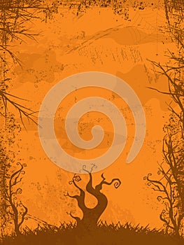 Halloween grunge background orange