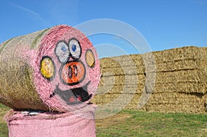 Halloween Hay Bale in Gervis, Oregon