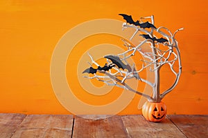 Halloween holiday concept. Cute pumpkin tree with bats
