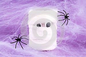 Halloween holiday concept. White spider web with two black spider web purple background. Diy mummy