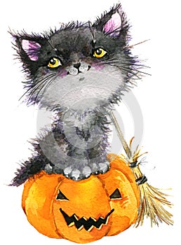 Halloween holiday little cat witch and pumpkin. Watercolor illustration