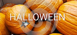 Halloween, a holiday observed on October 31