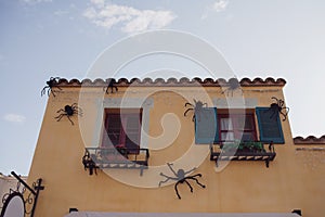 Halloween houses decoration: a group of spiders or tarantulas are on a wall and window. Happy halloween concept. Arachnophobia