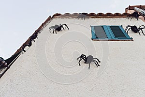 Halloween houses decoration: a group of spiders or tarantulas are on a wall and window. Happy halloween concept. Arachnophobia