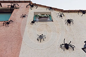 Halloween houses decoration: a group of spiders or tarantulas are on a wall and window. Happy halloween concept. Arachnophobia