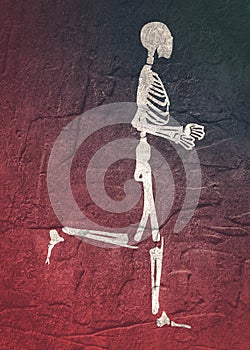 Halloween human skeleton