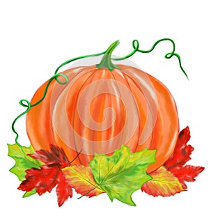 Halloween illustrated pumpkin with leaves