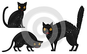 Halloween Illustrations: Black Cat Set, Intimidation and Fear, Normal Heart