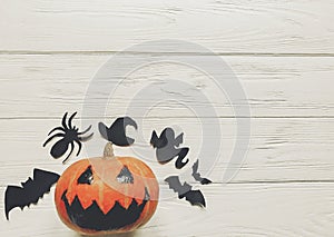 Halloween. jack lantern pumpkin with witch ghost bats and spider