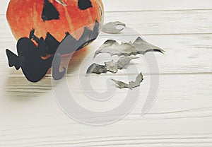 Halloween. jack lantern pumpkin with witch ghost bats and spider