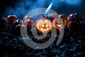 halloween jack-o-lantern on autumn leaves. Scary Halloween Pumpkin looking through the smoke. Glowing