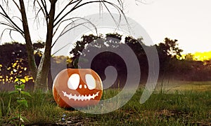Halloween Jack O Lantern pumpkin under the dead tree in terrifying forest in autumn. Holiday season and seasonal ideas concept. 3D