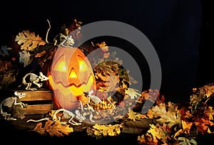 Halloween Jack-O-Lantern and Skeleton Mice