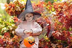 Halloween kids. funny cute girl in black hat with pumpkin Jack, bucket for sweet candy on red maple