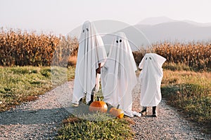 Halloween Kids Holidays Concept