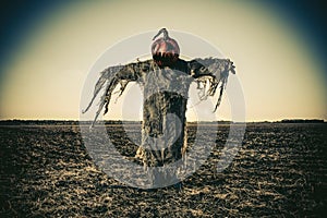 Scarecrow on halloween photo