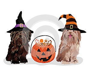 Halloween. Little dog and pumpkin. Vector illustration.