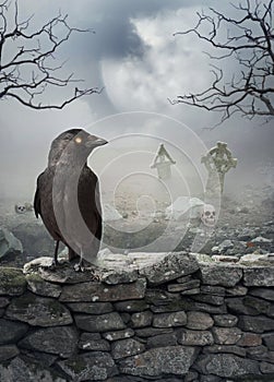 Halloween mystical background with raven on the stone wall