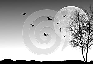 Halloween night background photo