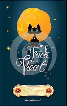 Halloween night: cat on moon and sky background. C