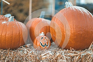 Halloween outdoor pumpkin decorations in front of house yard