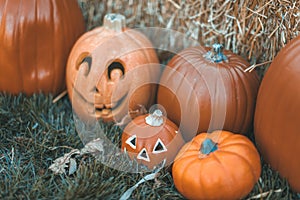 Halloween outdoor pumpkin decorations in front of house yard