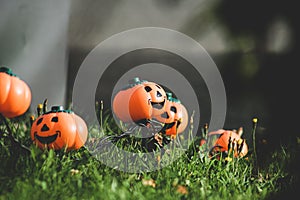 Halloween park decor with pumpkins