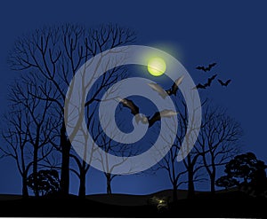 Halloween Party Background. Forest at moon light