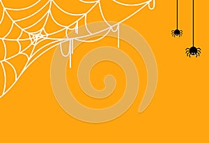 Halloween party background with spider hanging from spiderwebs isolated on yellow texture,blank space for text,element template