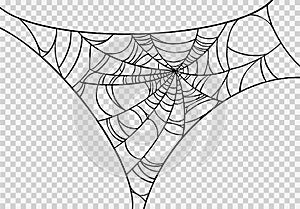 Halloween party background with spiderwebs isolated png or transparent texture,blank space for text,element template for poster,