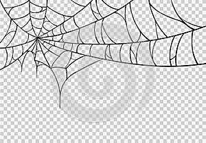 Halloween party background with spiderwebs isolated png or transparent texture,blank space for text,element template for poster,