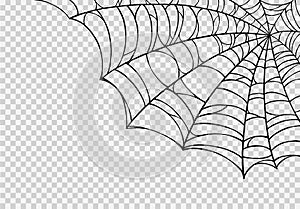 Halloween party background with spiderwebs isolated png or transparent texture,blank space for text,element template for poster,