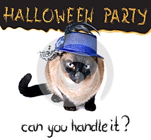 Halloween party banner funny edgy jumpy Siamese Hilarious Cat