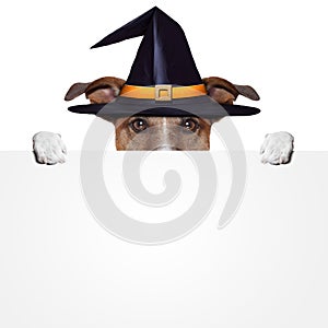 Halloween placeholder banner dog