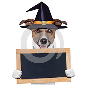 Halloween placeholder banner dog