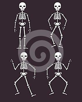 Halloween Poster, skeletons dancing banner or background for Party night